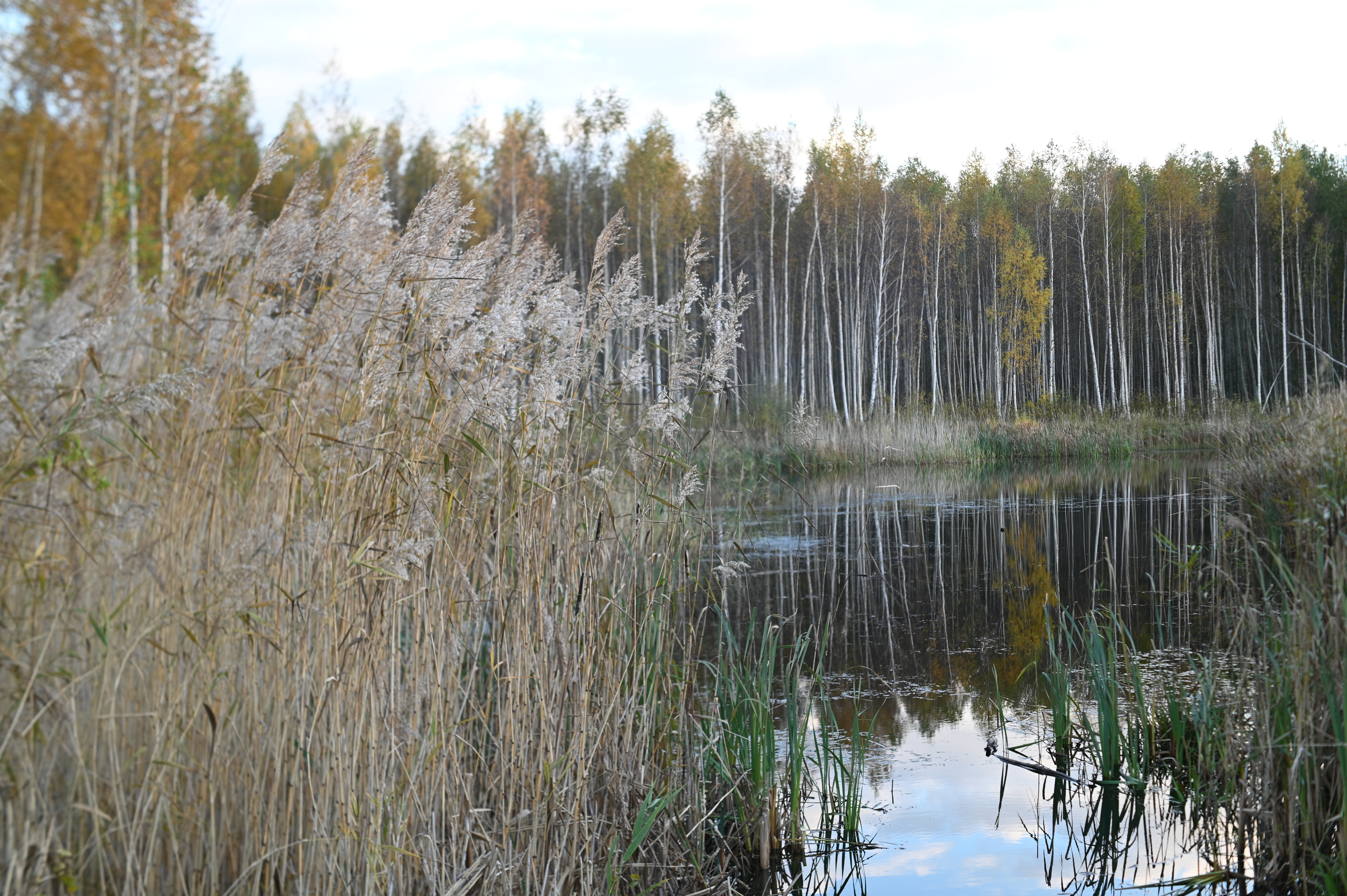 2025/10/18 - walk/DSC_0205.JPG